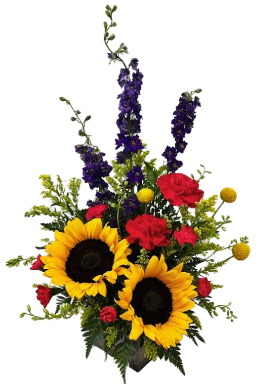 Sunflowers Just Want to Have Fun IF-5037