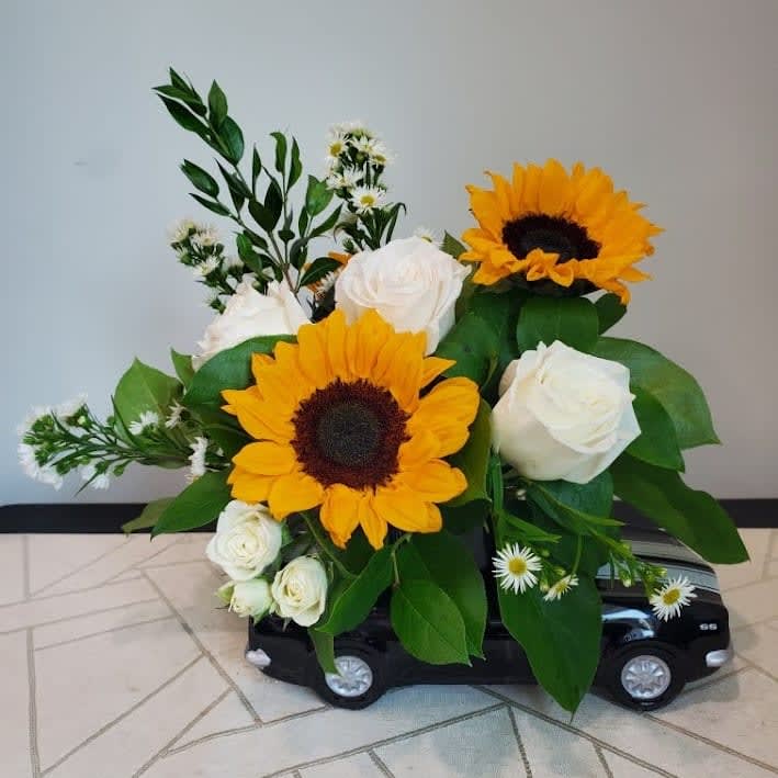 Cruising Around Town