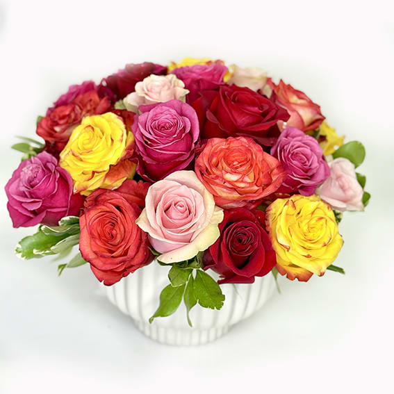 Colorful Roses