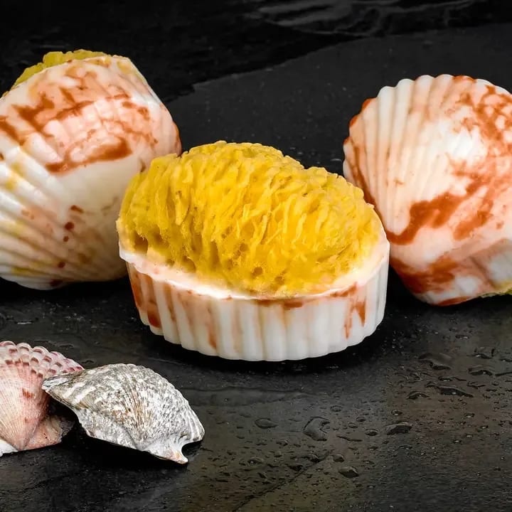 Goat Milk; Clam Shell Sea Sponge