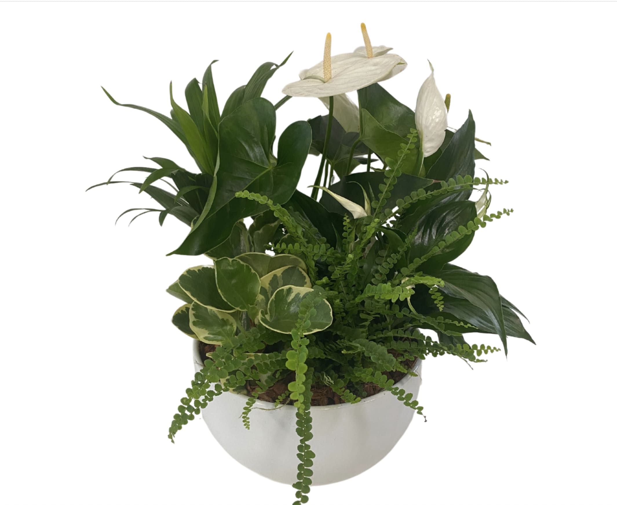 White XL Sympathy Planter Flower Bouquet