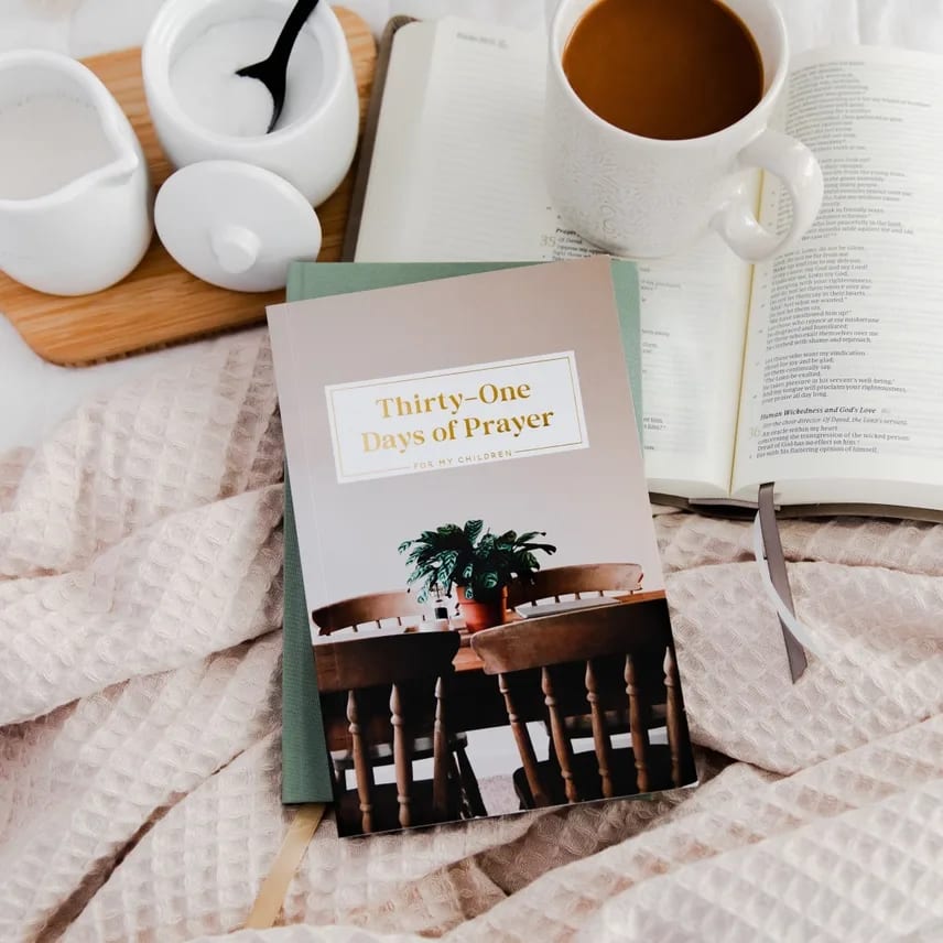 Thirty One Days of Prayer for my Children book