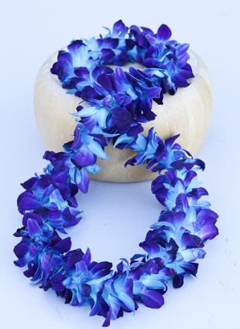 "Fathers Celebration" Blue Dyed Bombay Orchid Lei Flower Bouquet