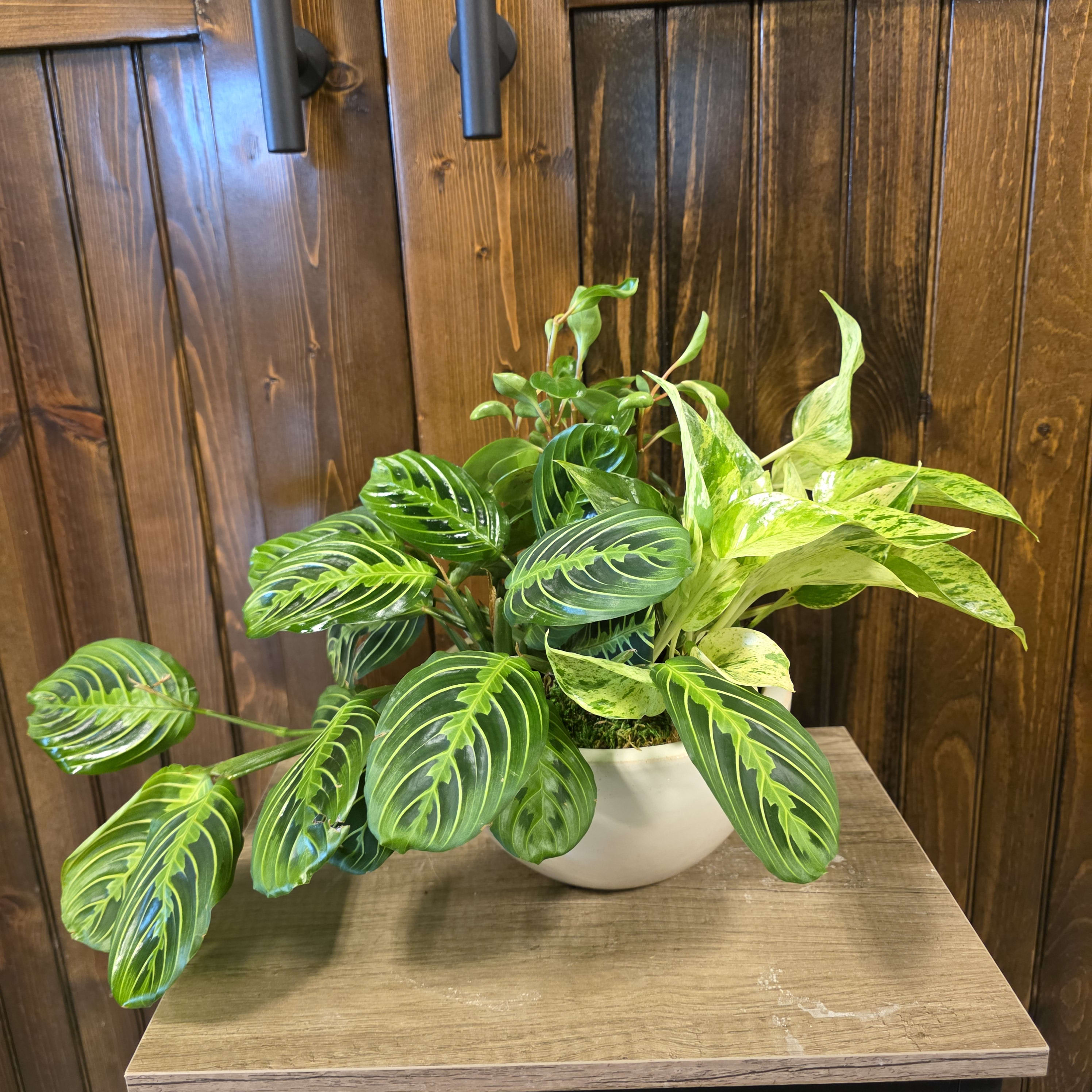 Modern Luxury Plant Container