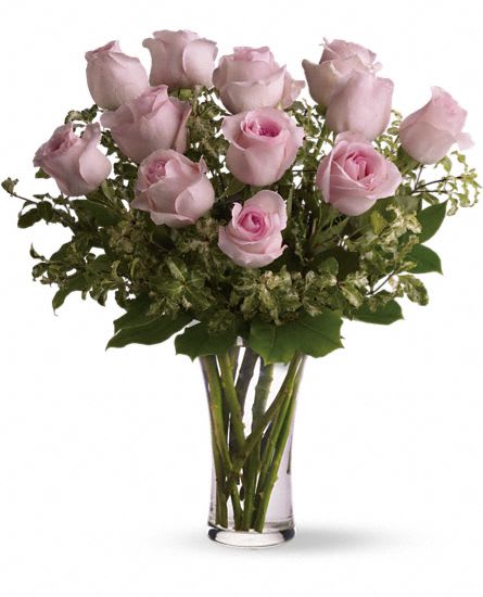 A Dozen Pink Roses