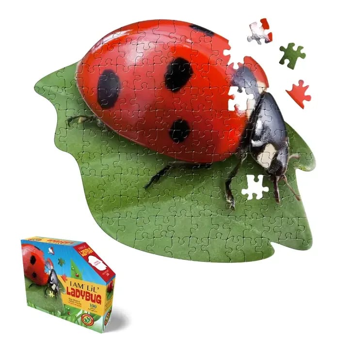 I Am Lil LadyBug Puzzle