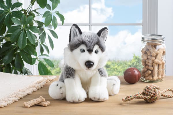 Siberian Huskey Plushy