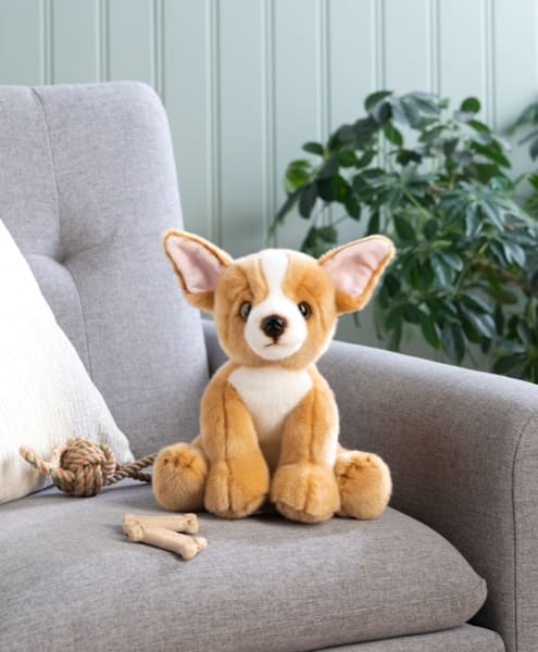 Chihuahua Plushy