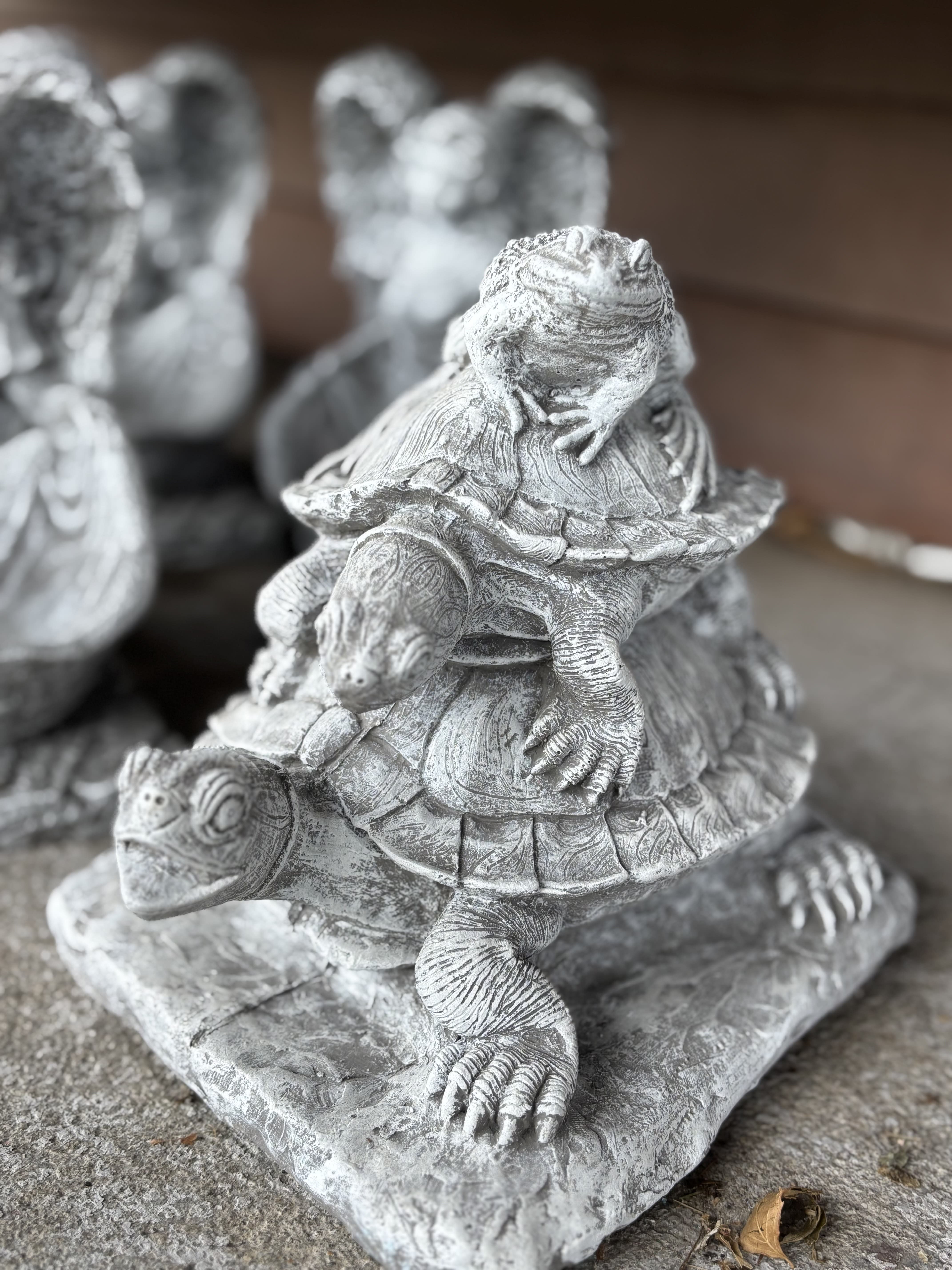 Concrete Turtles and Frog