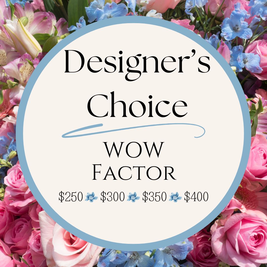 Designer's Choice - Wow Factor!