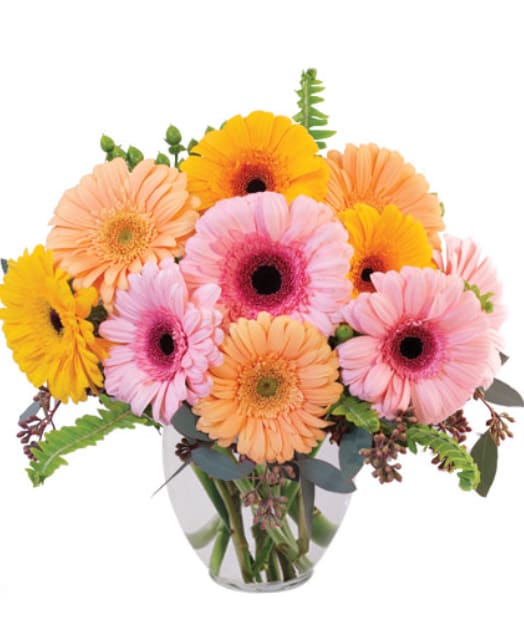 New Baby Flowers & Gifts - Holmdel, NJ