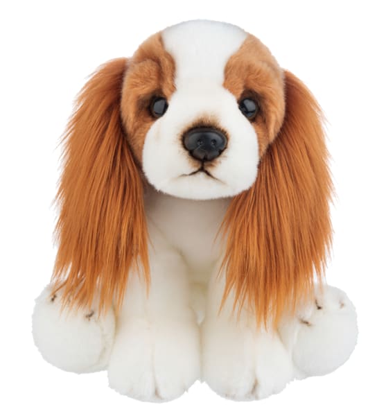 Heritage King Charles Spaniel