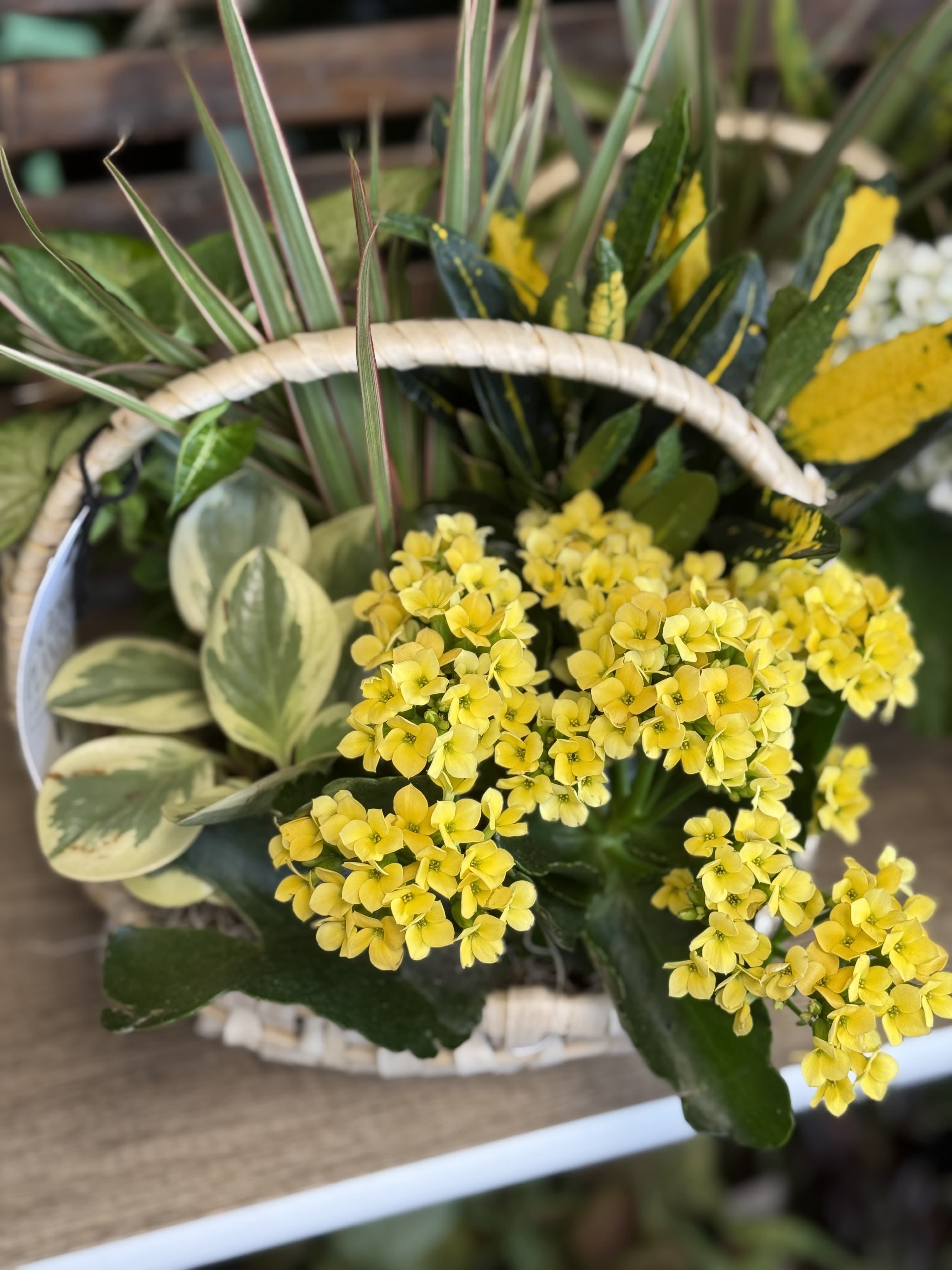 Indoor Garden Planter
