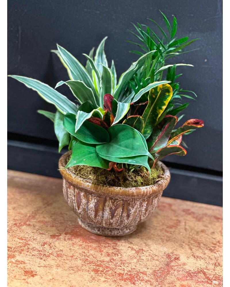 Small Dish Garden Flower Bouquet