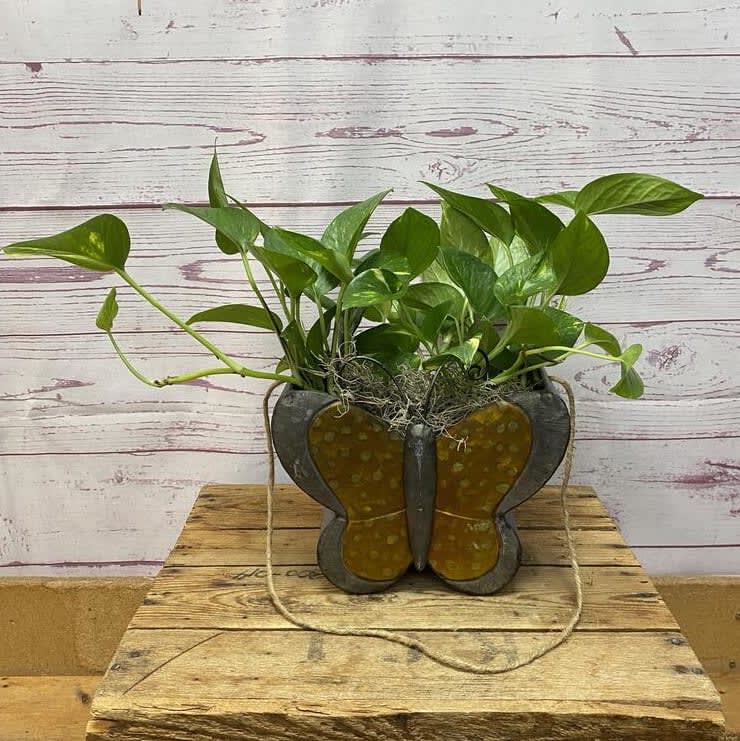 Fluttering Foliage Butterfly Planter