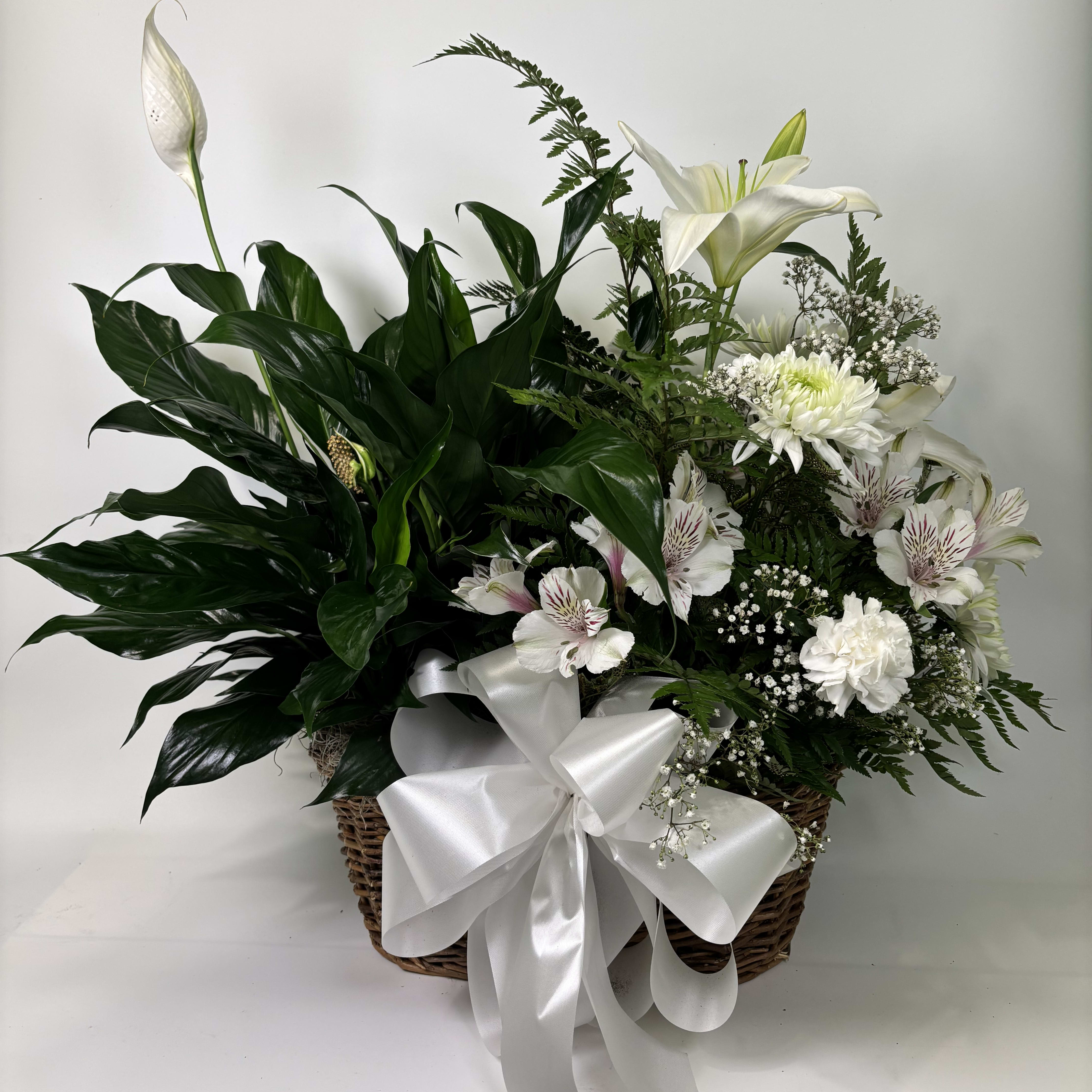PlantFloralCombo Flower Bouquet