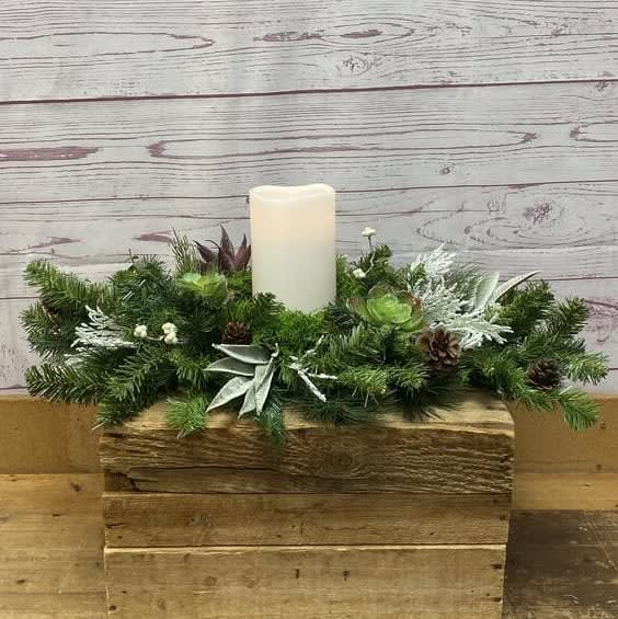 Snow-Kissed Succulent Silk (Artificial) Centerpiece