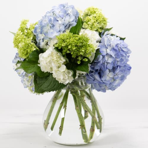 New Baby Flowers & Gifts