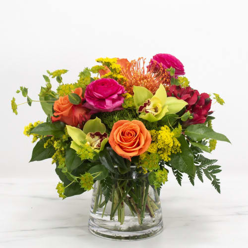 Summer Flowers & Plants