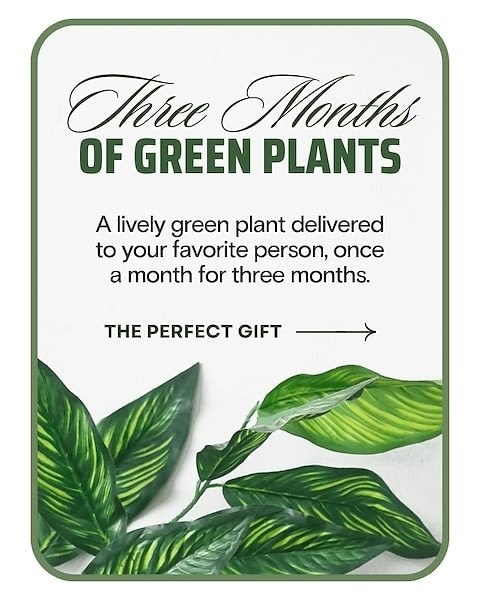 Plant Subscription (3)