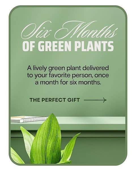 Plant Subscription (6)