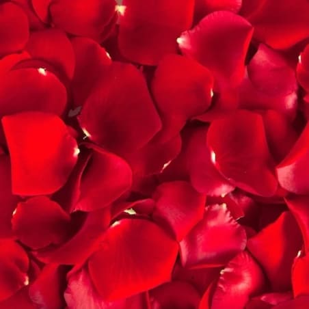 Rose Petals