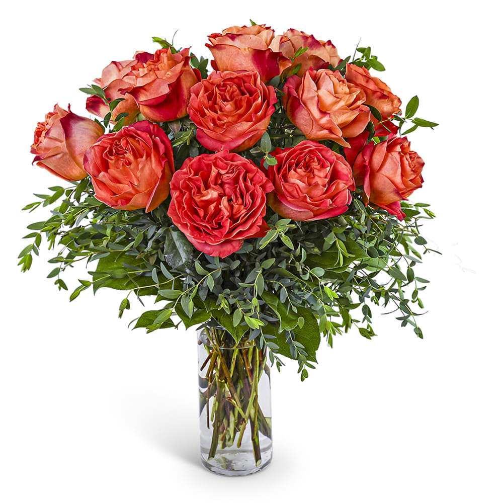 One Dozen Wild Spirit Roses Flower Bouquet