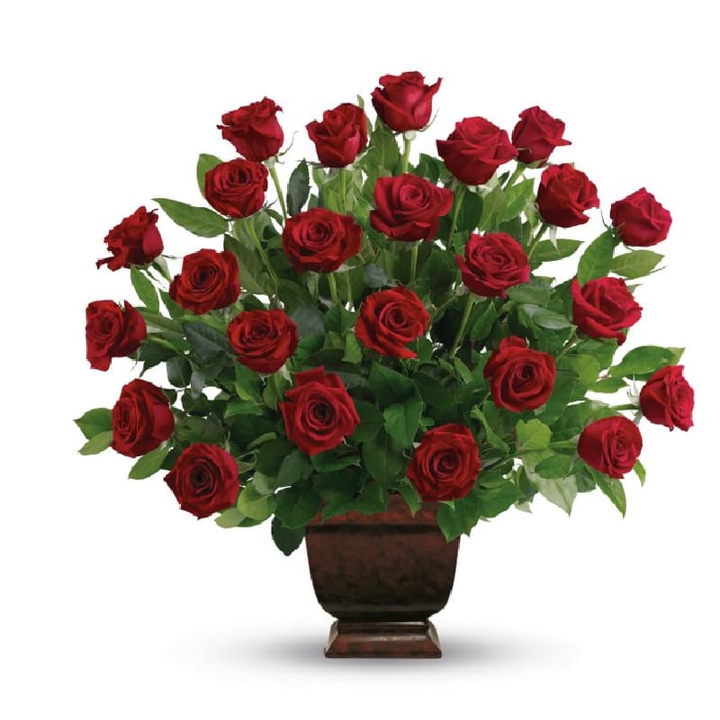 Red Rose Tribute Urn
