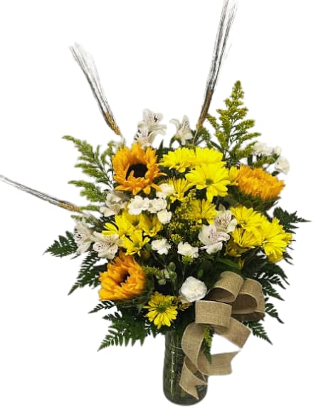 Country Sunshine V-1479