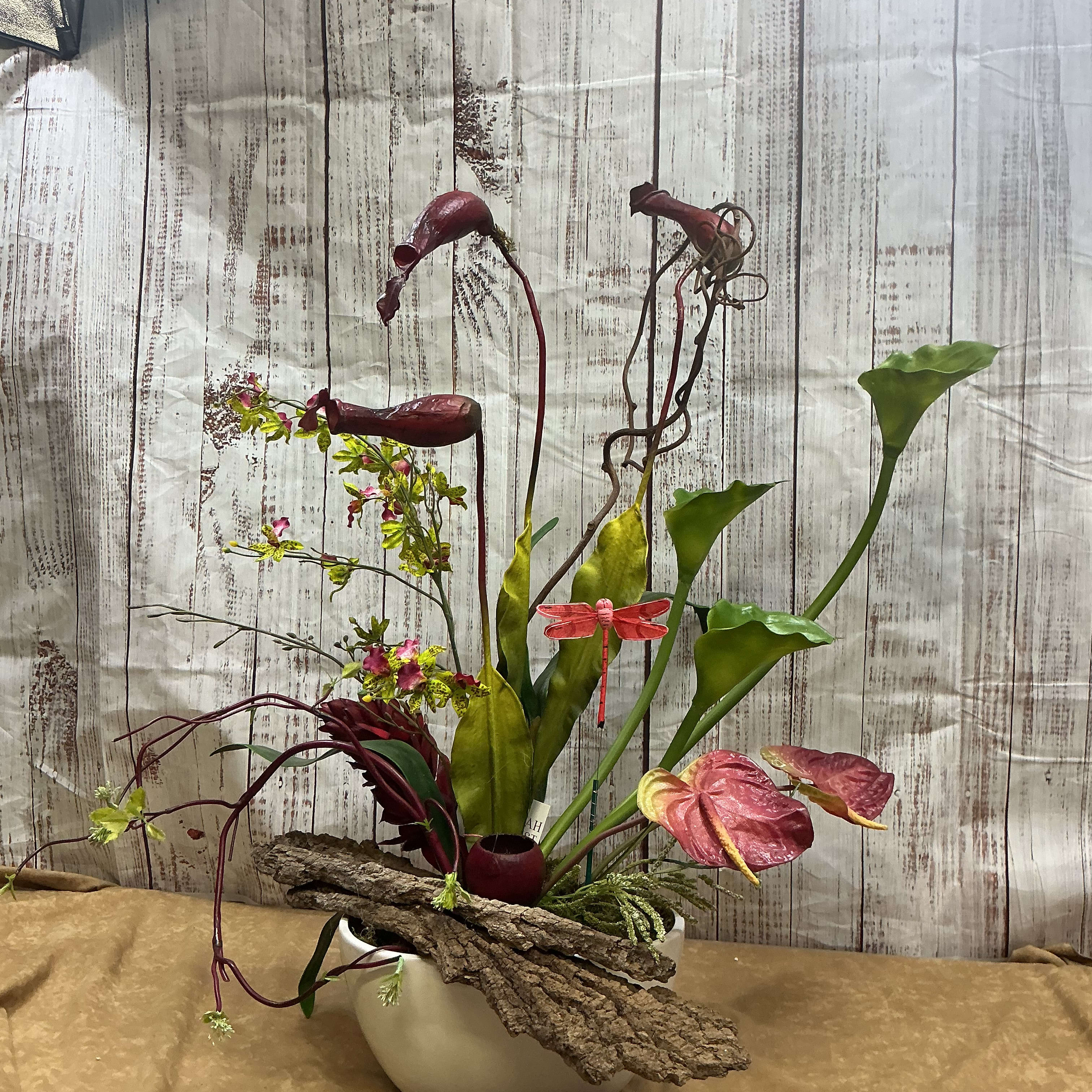 Anthurium Tropical