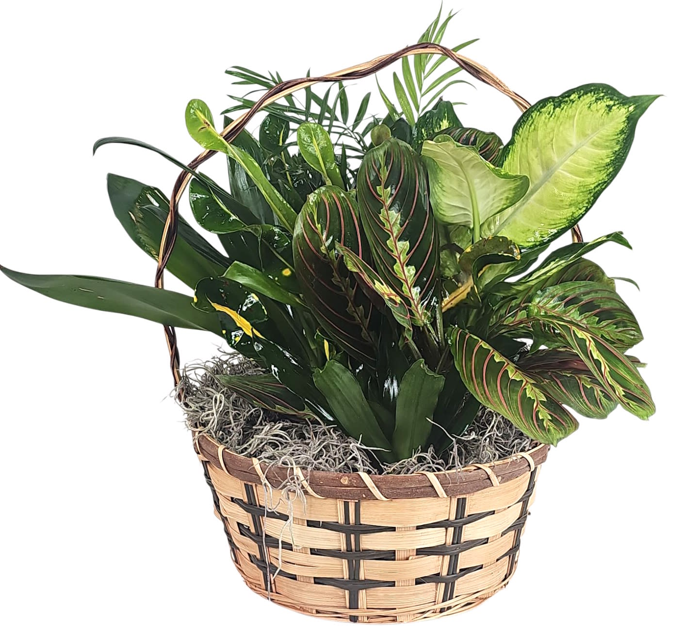 Tropical Garden Basket
