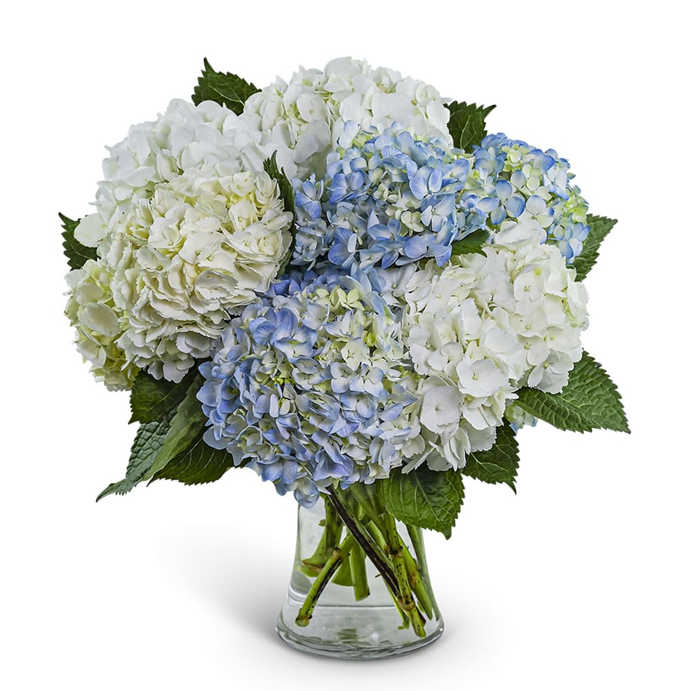 Lovely Lush Hydrangea Flower Bouquet