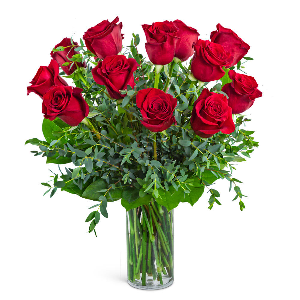 One Dozen Red Hot Roses Flower Bouquet