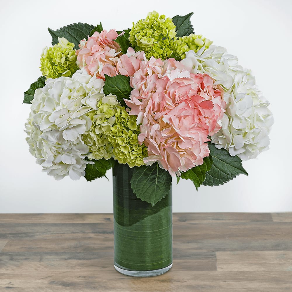 Hydrangea Glow Flower Bouquet