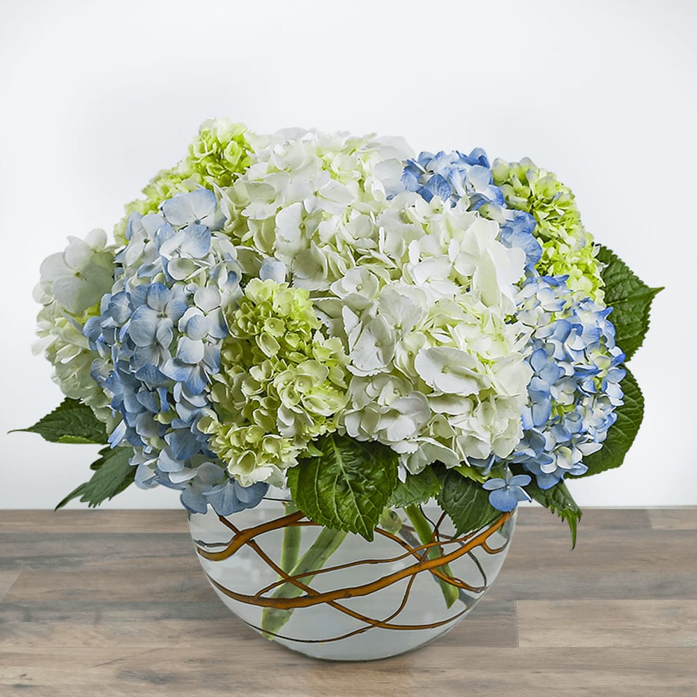 Modern Hydrangea Flower Bouquet