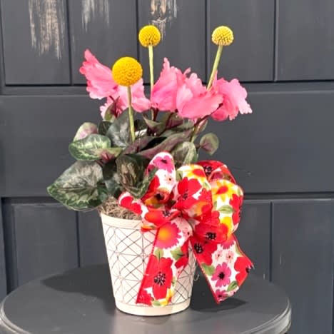 Happy Times Faux (Artificial) Cyclamen Plant