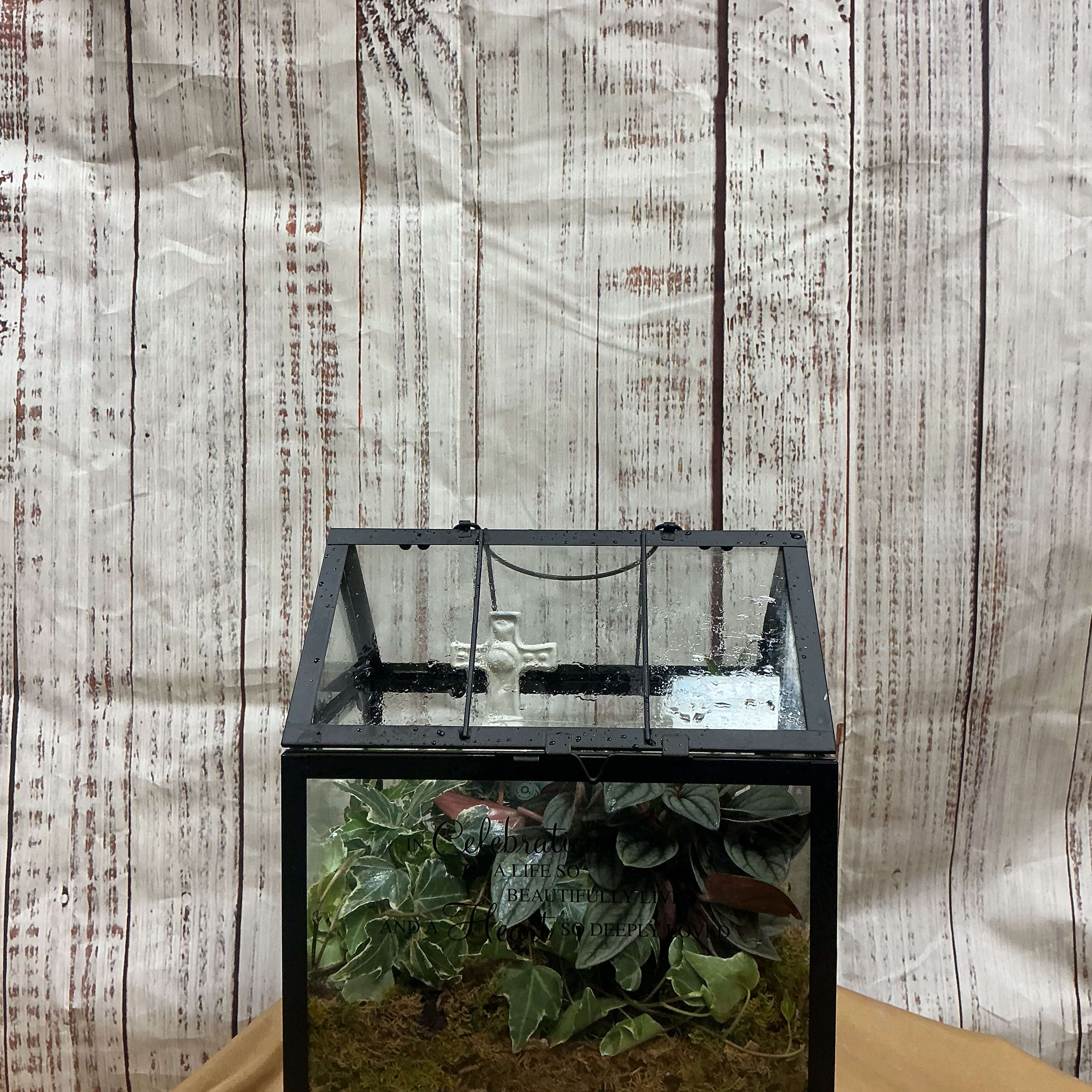 Terrarium with plants