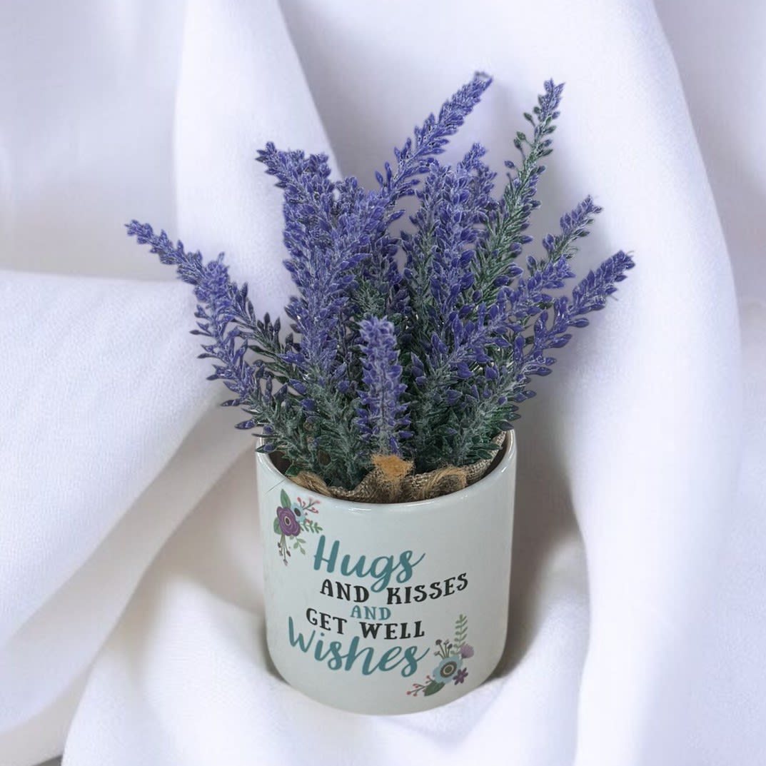 Get Well Wishes Faux Succulent