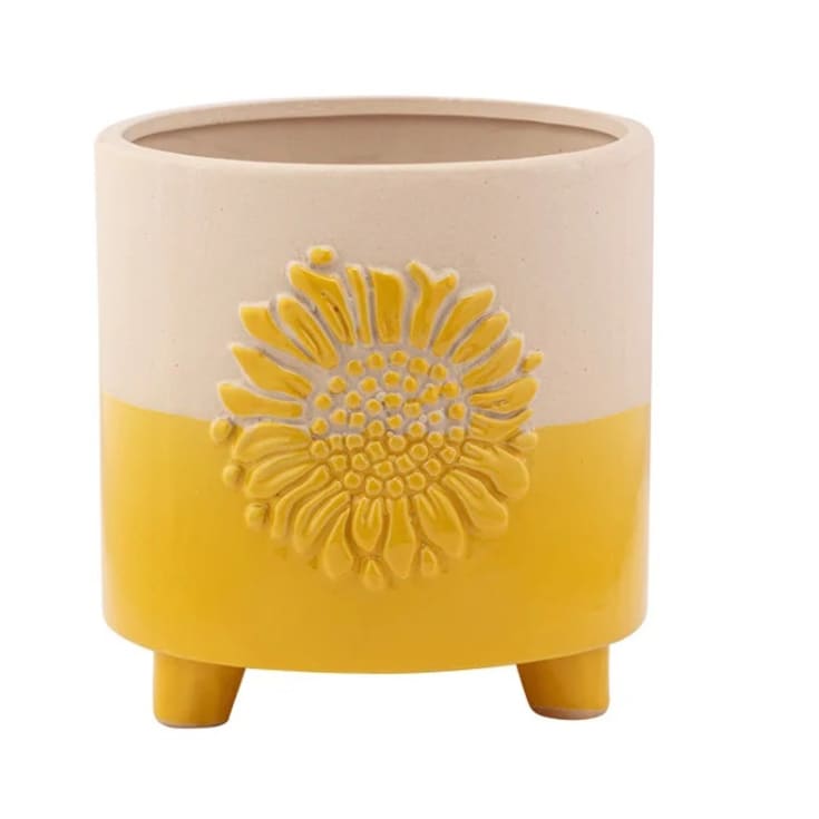 Sunflower two-tone footed