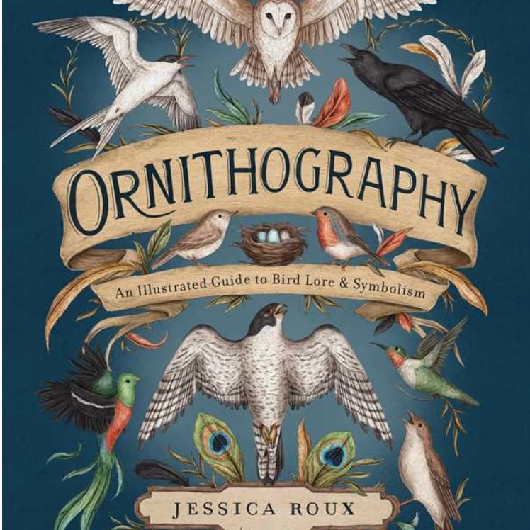 Ornithography By Jessica Roux Book Flower Bouquet