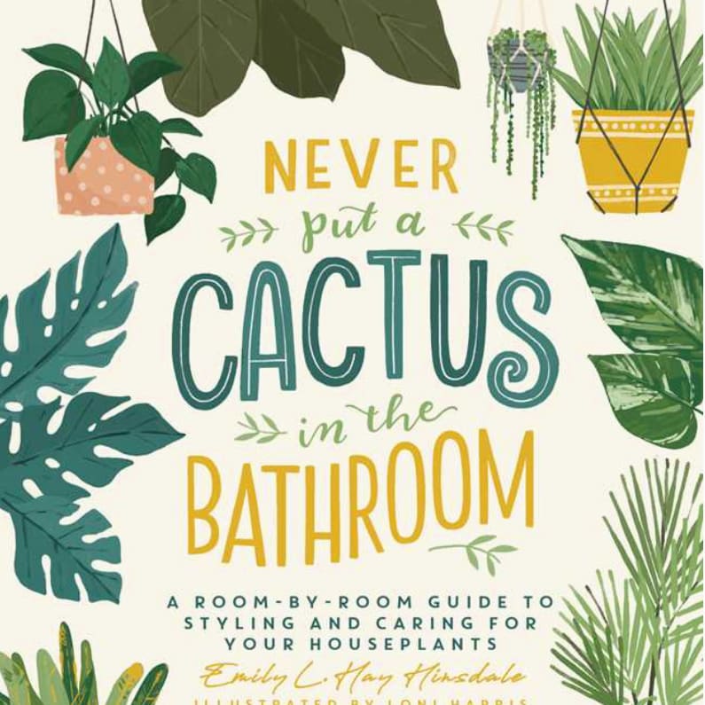 Never Put A Cactus in the Bathroom By Emily L. Hay Hinsdale Book Flower Bouquet