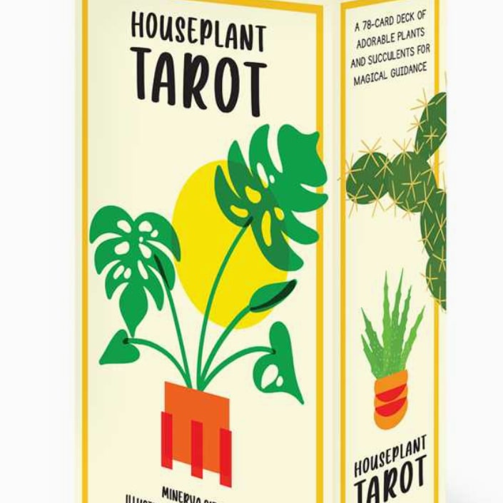 Houseplant Tarot By Minerva Siegel Tarot Deck Flower Bouquet