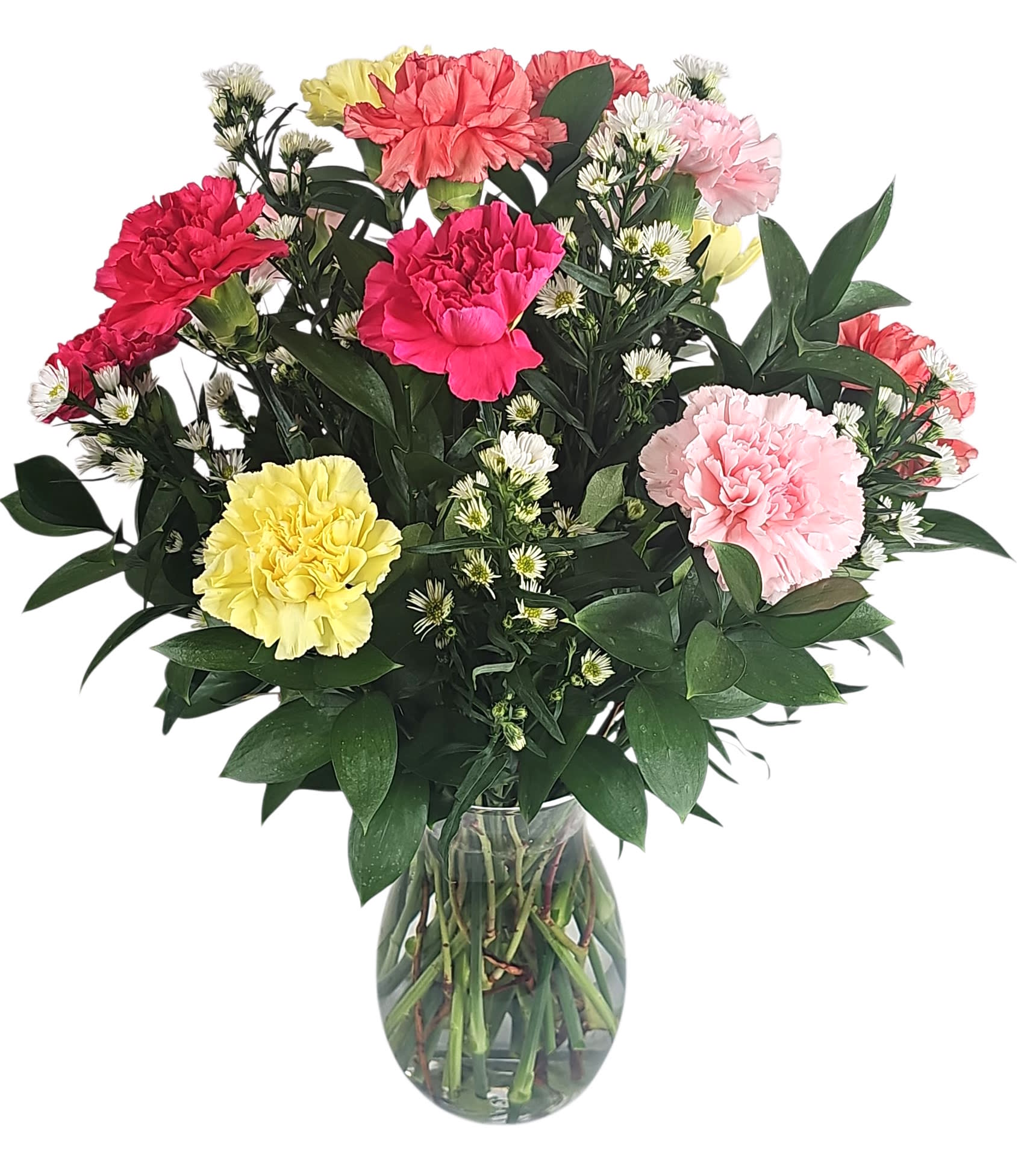 Carnations (Colors Vary) Flower Bouquet