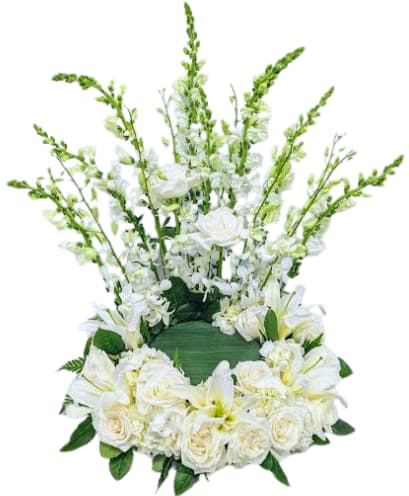 Opulent Eternity FW-626