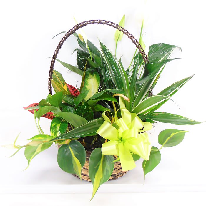 Large Basket Garden Flower Bouquet