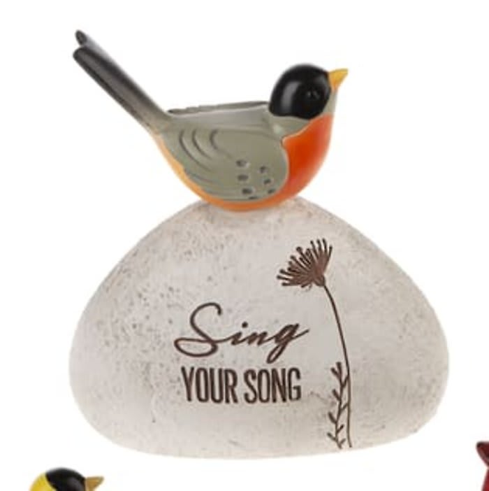 Sing your Song! Robin Message Rock Flower Bouquet
