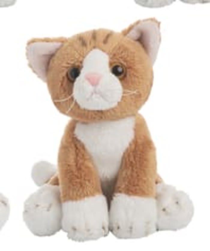 Orange Tabby Mini Cat