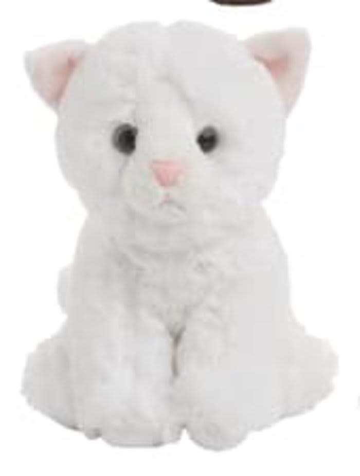 White Persian Mini Cat