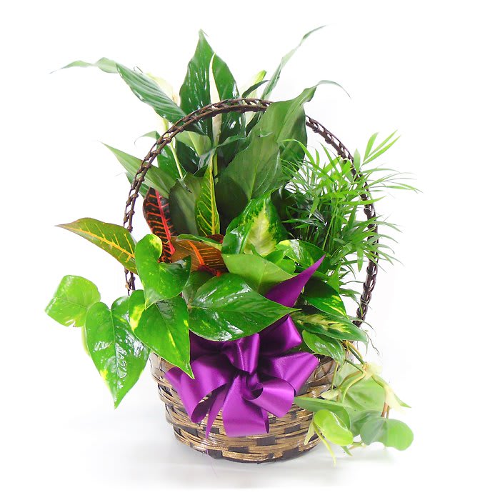 Medium Basket Garden Flower Bouquet