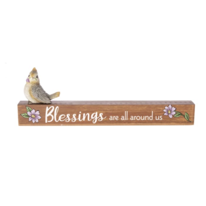 Blessings are all around us.  Shelfsitter